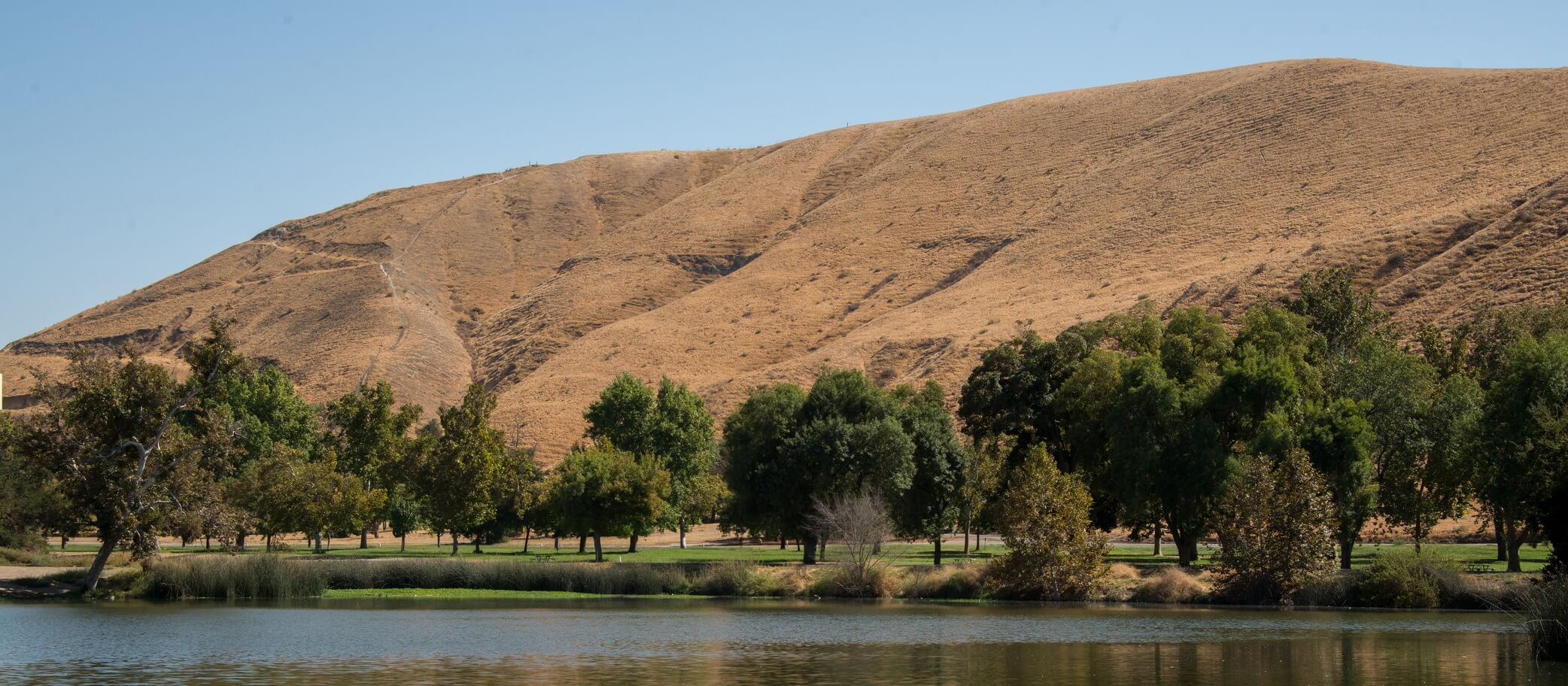 Expert-led training for teams in Bakersfield, CA